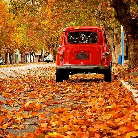 Voiture automne