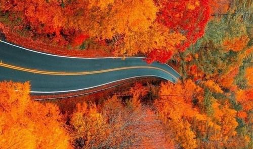 Quelques conseils pour préparer sa voiture à l’approche de l'automne